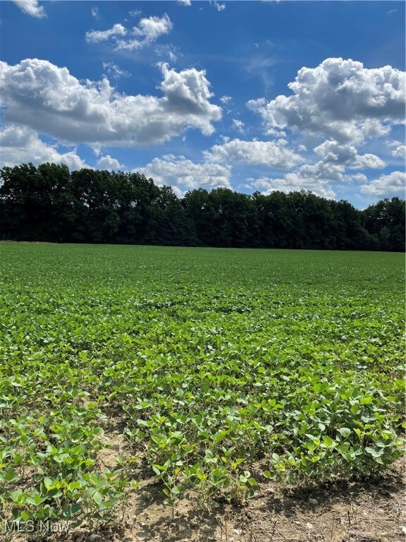 View of yard featuring a view of rural / pastoral area and agricultural area