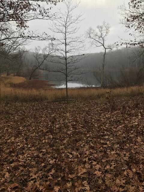 0 Fiftieth Ave unit 16057148, Bitely, MI 49309 - photo 3