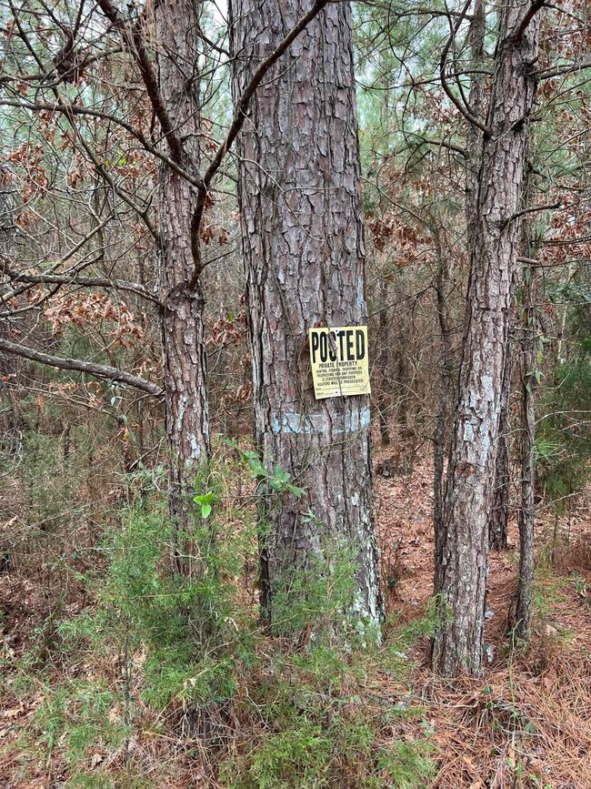 0 Kelly Ave E unit 24032577, Sparkman, AR 71763 - photo 5