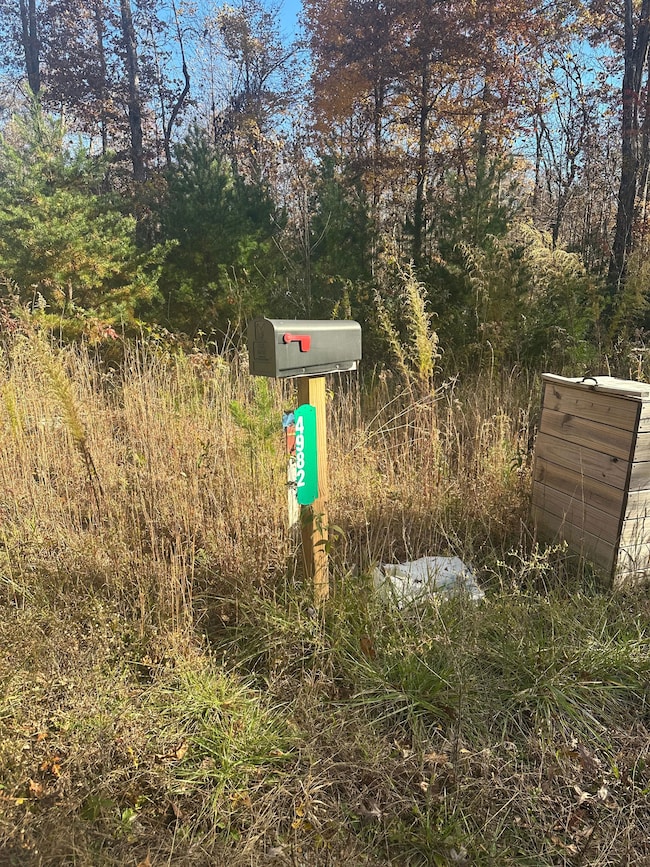 4982 Colony Rd, Gruetli Laagr, TN 37339 - photo 5