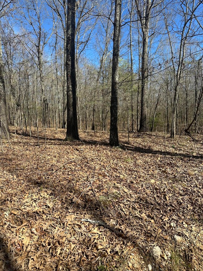 Vacant Land for Sale in Southern Missour