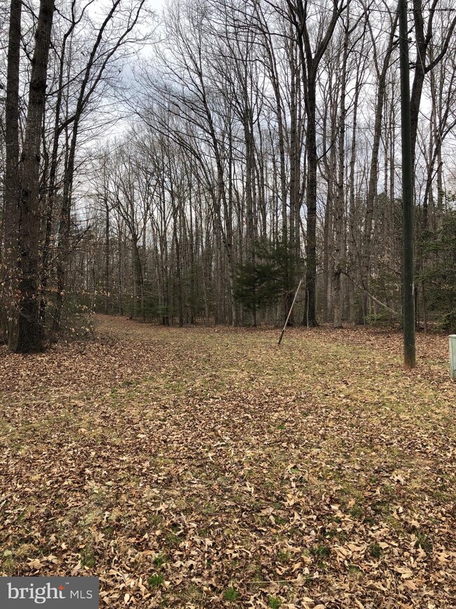 4910 Greenbranch St, Partlow, VA 22534 - photo 6