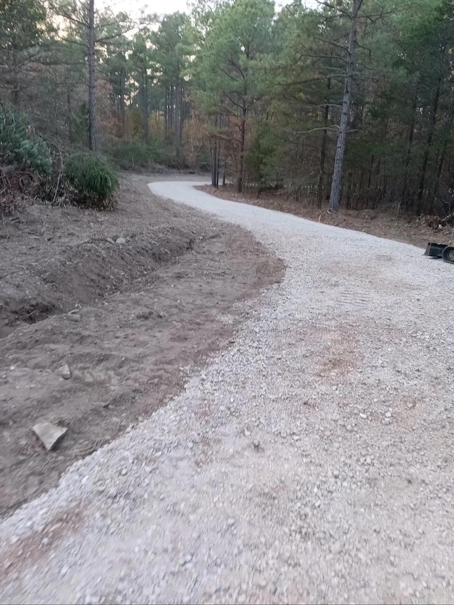 1028 Red Wings Rd, Bismarck, AR 71929 - photo 3