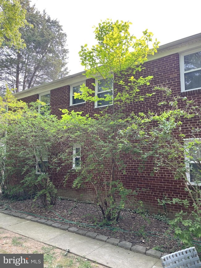 3637 Appleton St NW, Washington, DC 20008 - photo 4