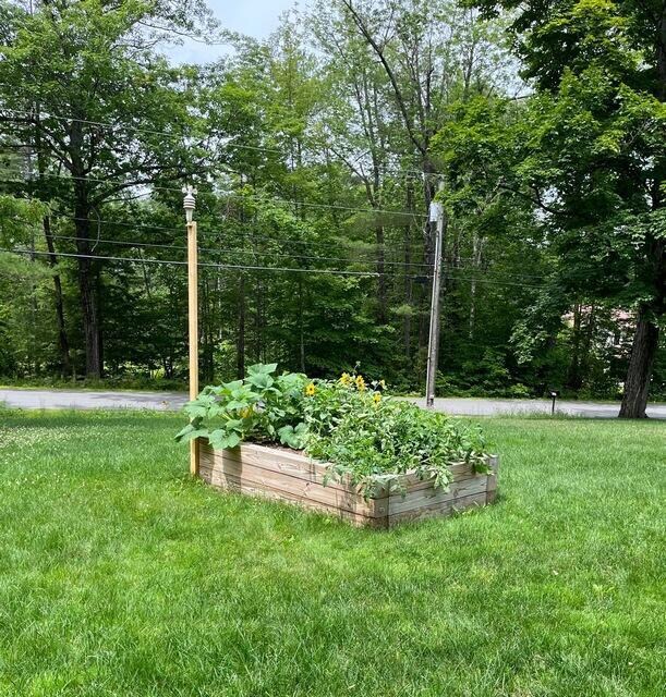 Goodman-raisedbed