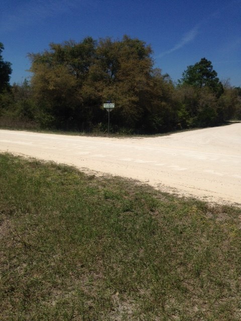 0 Yates Creek Rd unit 268566, Perry, FL 32348 - photo 3