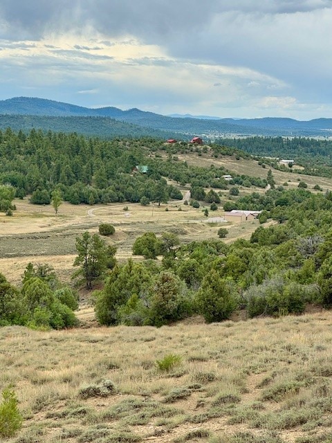Unit 5 Tract 1 Private Drive 1783, Chama, NM 87520 - photo 2