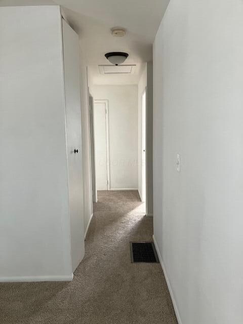 351 Baroness hallway