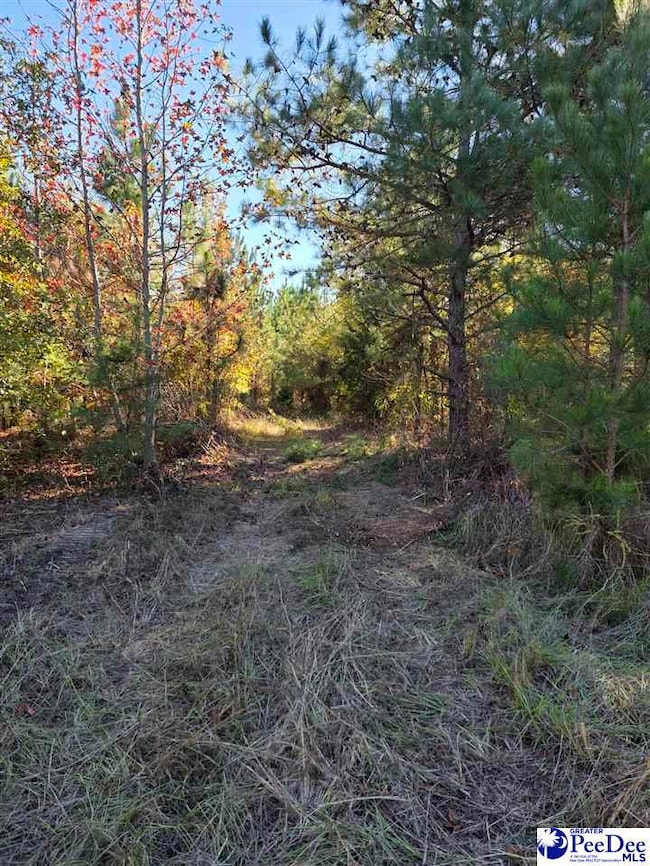 0000 S Carolina 265, Ruby, SC 29741 - photo 7