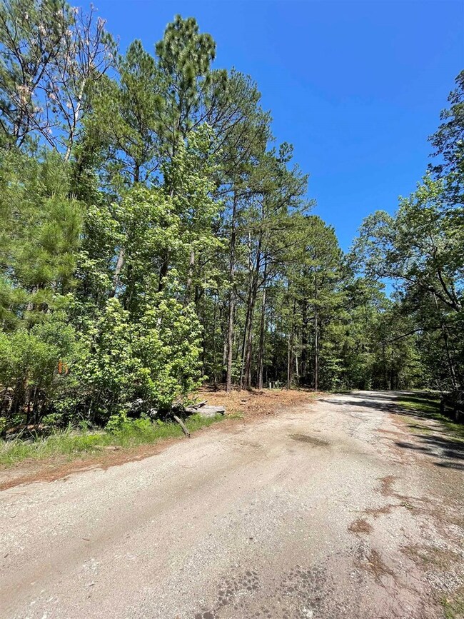 237 Senita Dr, Sam Rayburn, TX 75931 - photo 5