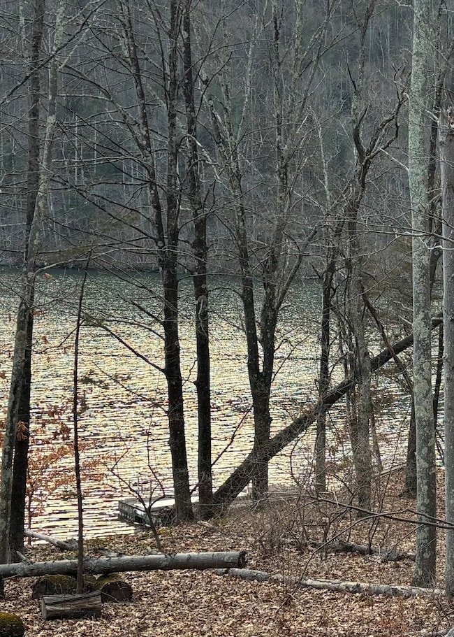 5 Lake Lillinonah Rd N, Bridgewater, CT 06752 - photo 5