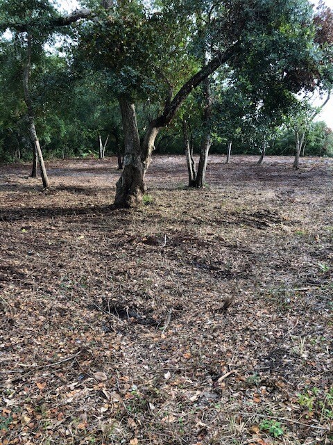 0 12th St, Carrabelle, FL 32322 - photo 4