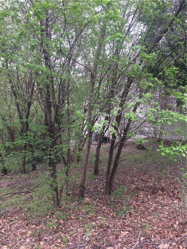 10 Country Club Cir, Bella Vista, AR 72715 - photo 7