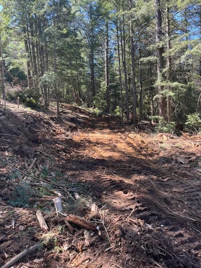 000 Shaker Rd unit 288, New London, NH 03257 - photo 5