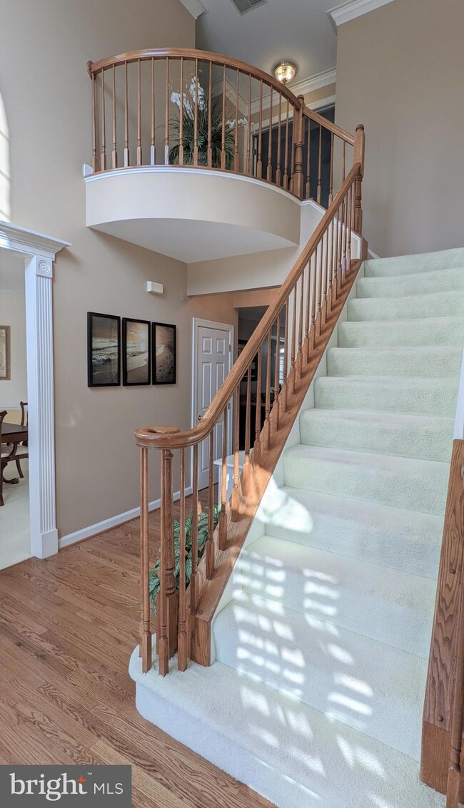 43345 St Andrews St, Chantilly, VA 20152 - photo 3