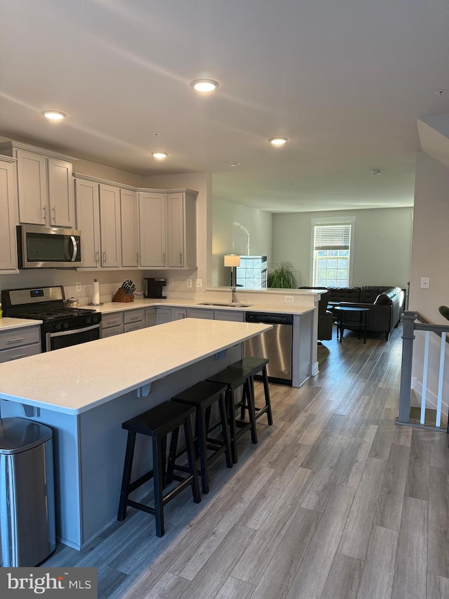 2932 Osprey Way, Frederick, MD 21701 - photo 4