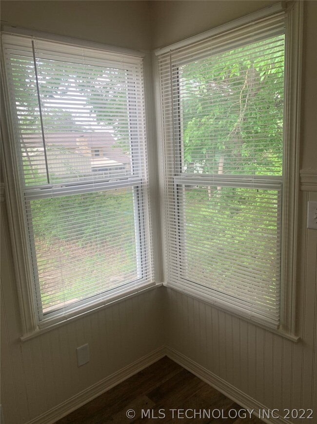 Vinyl Windows