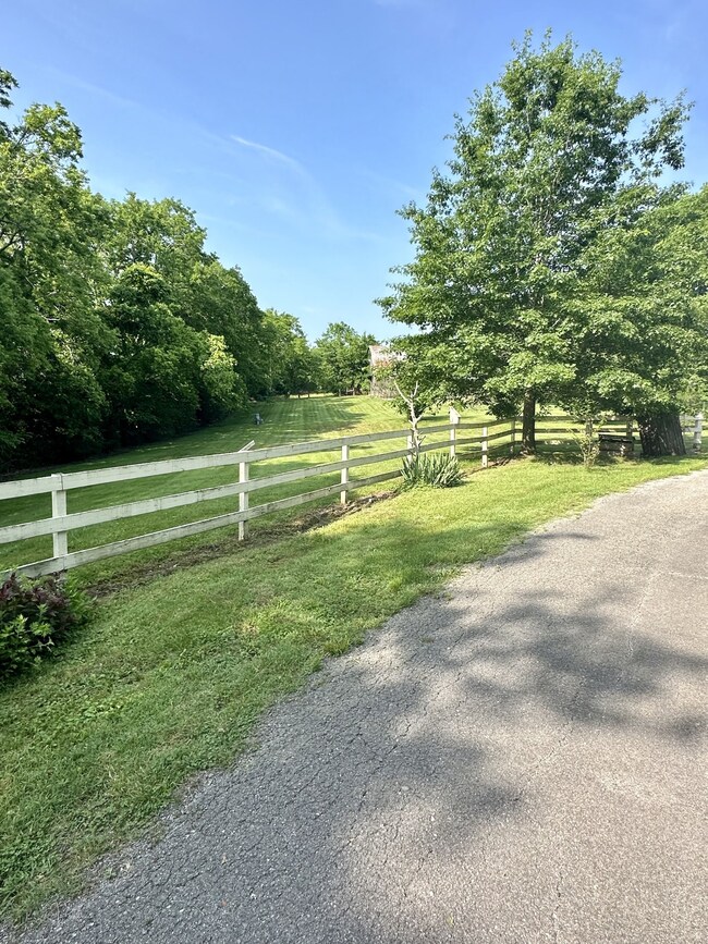 1098 New Center Church Rd, Shelbyville, TN 37160 - photo 7