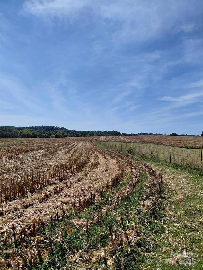 320 Howards Bridge Rd, Union Grove, NC 28689 - photo 6