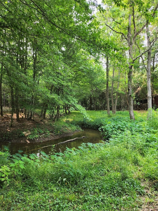 1423 County Road 381 S, Cleveland, TX 77328 - photo 5