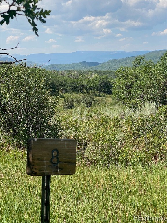 View from Lot 8