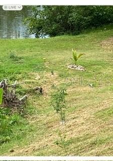 1 Montecarlo unit 149, HuMacAo, PR 00791 - photo 7