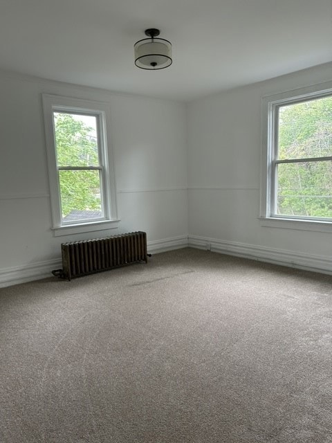 Large Bedroom