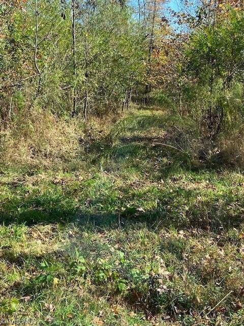 00 Bob Loflin Rd, Denton, NC 27239 - photo 3