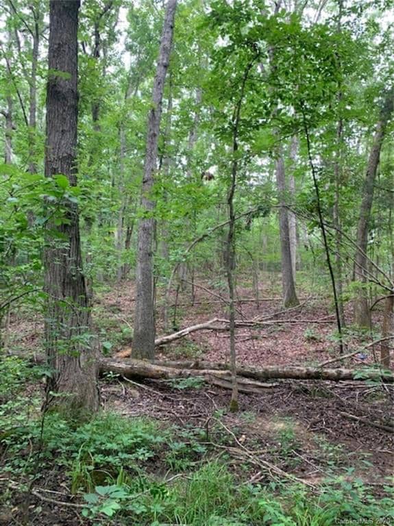 TBD Arabian Dr unit 82-83, Cedar Grove, NC 27205 - photo 6