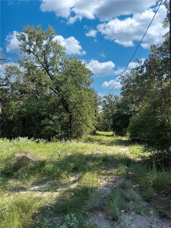 2790 S Discovery Ln SW, Franklin, TX 77856 - photo 7