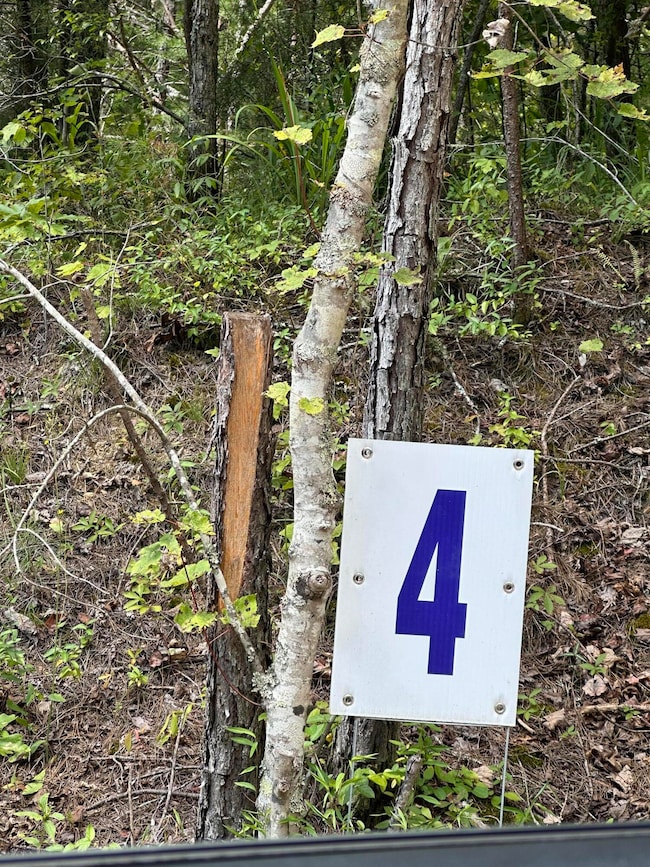 424- TRACT 4 Kentucky 577, Fogertown, KY 40962 - photo 2