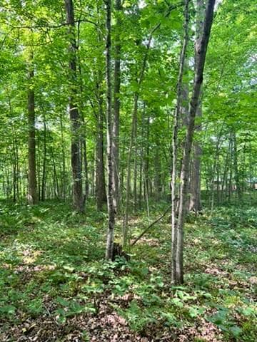 28xxx 89th Ave, Boyd, WI 54726 - photo 7