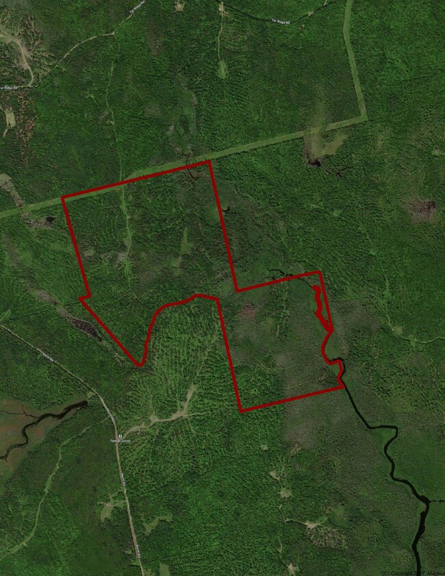 Satellite Image (Hybrid Street)