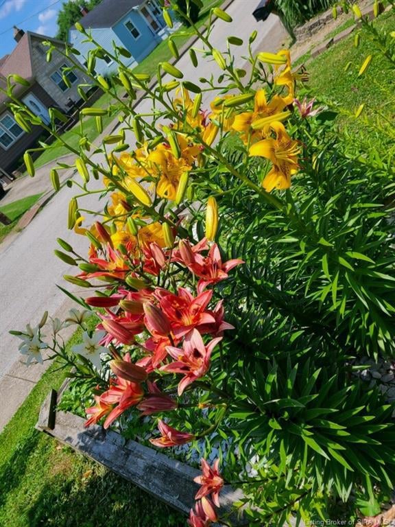 1318 Lincoln Ave, New Albany, IN 47150 - photo 3