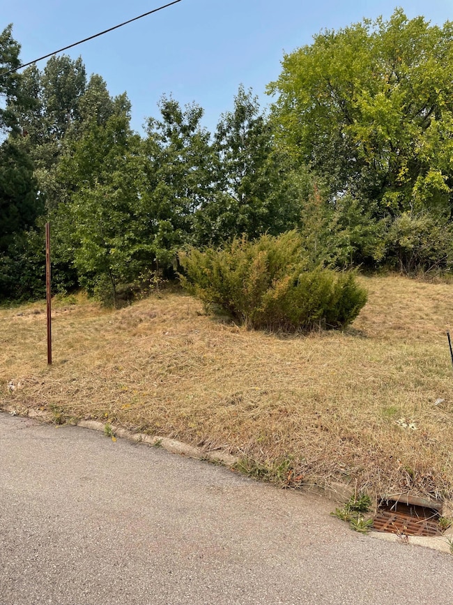 0 9th St, Manistee, MI 49660 - photo 3