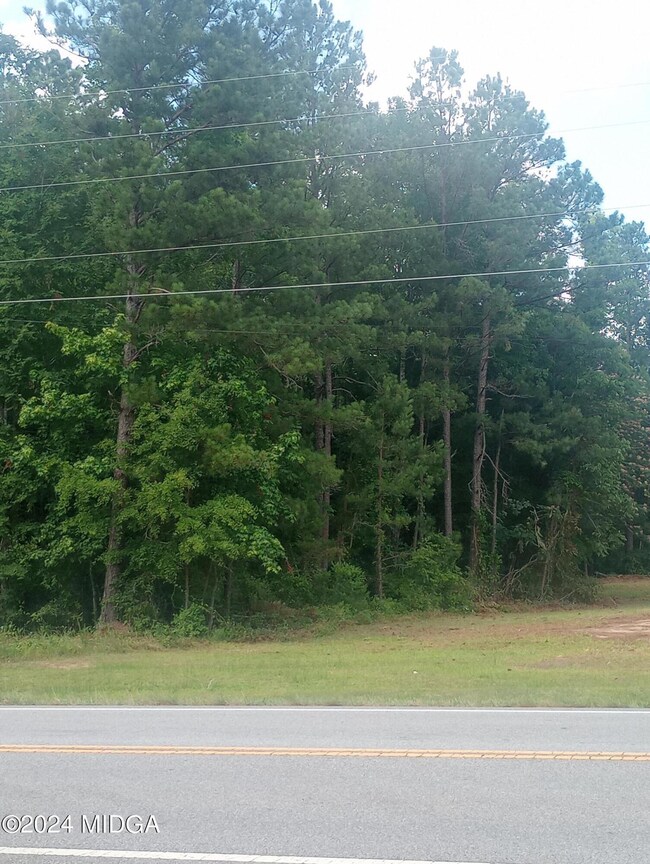 7159 Thomaston Rd, Macon, GA 31220 - photo 7