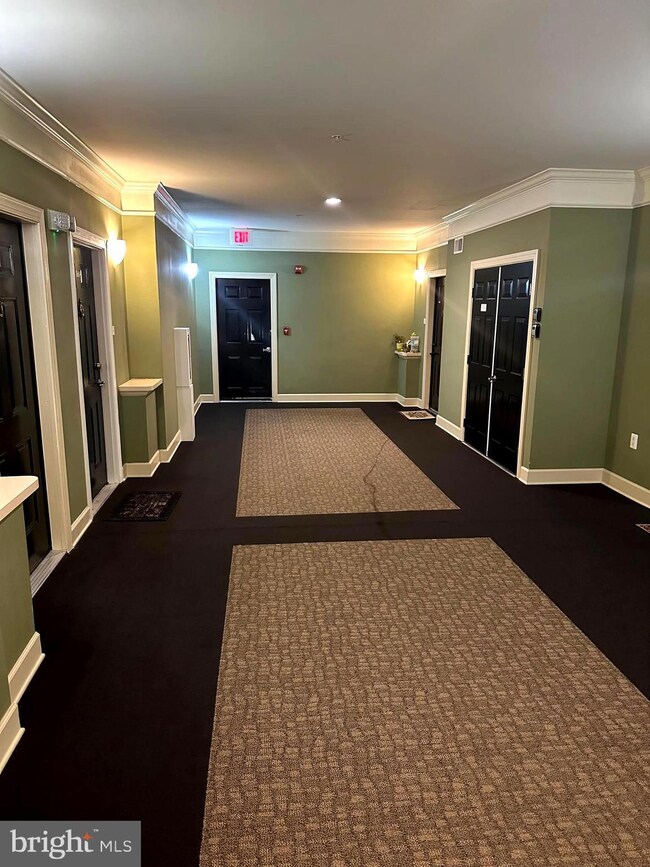 1321 Karen Blvd unit 205, Capitol Heights, MD 20743 - photo 4
