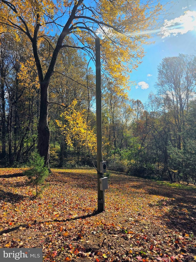 257 Wiley Mill Rd, New Park, PA 17352 - photo 3