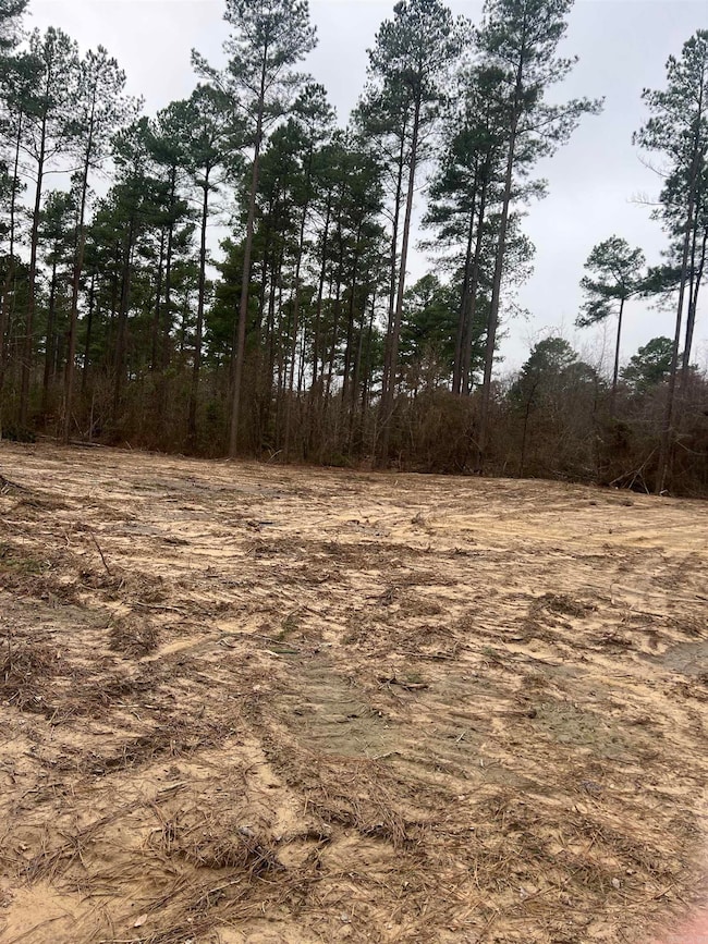 1028 Red Wings Rd, Bismarck, AR 71929 - photo 7