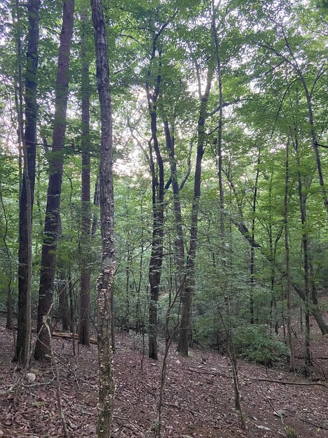 Lot 58 Cherokee Cir, Ellijay, GA 30536 - photo 6