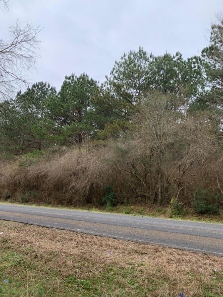 000 Dinan Salem Rd, Tylertown, MS 39667 - photo 7