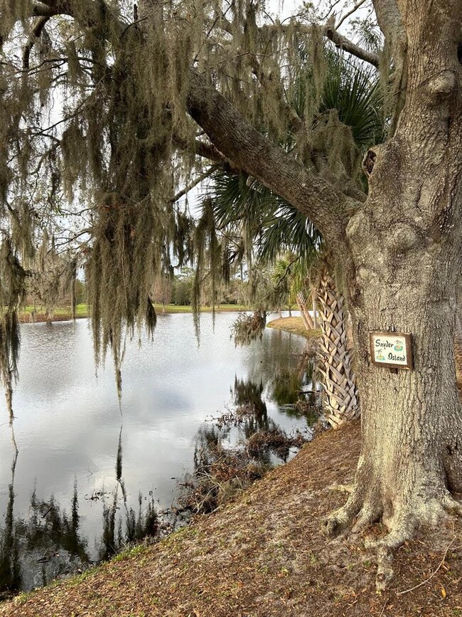 420 Hibiscus Dr, Lake Wales, FL 33898 - photo 4