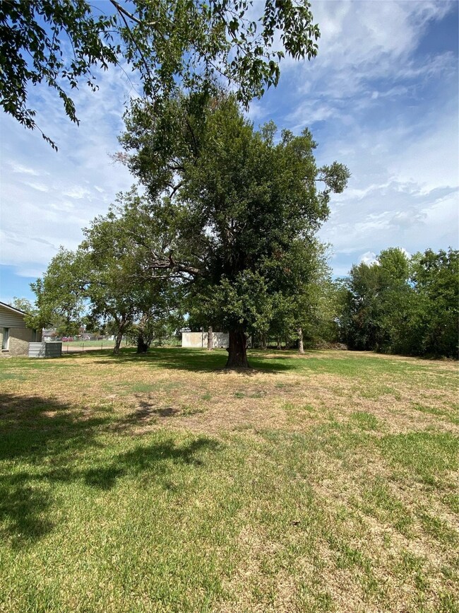 4213 Tampico St, Houston, TX 77016 - photo 4