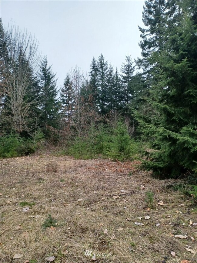 0 190th St E unit NWM1903983, Orting, WA 98360 - photo 6