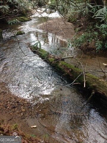 1 Wolf attachment1706367966964 (003)