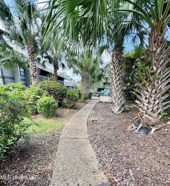 Path to pool