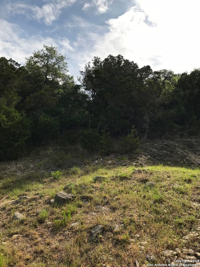 0 Rocky Ridge Loop unit 1307432, Canyon Lake, TX 78133 - photo 4