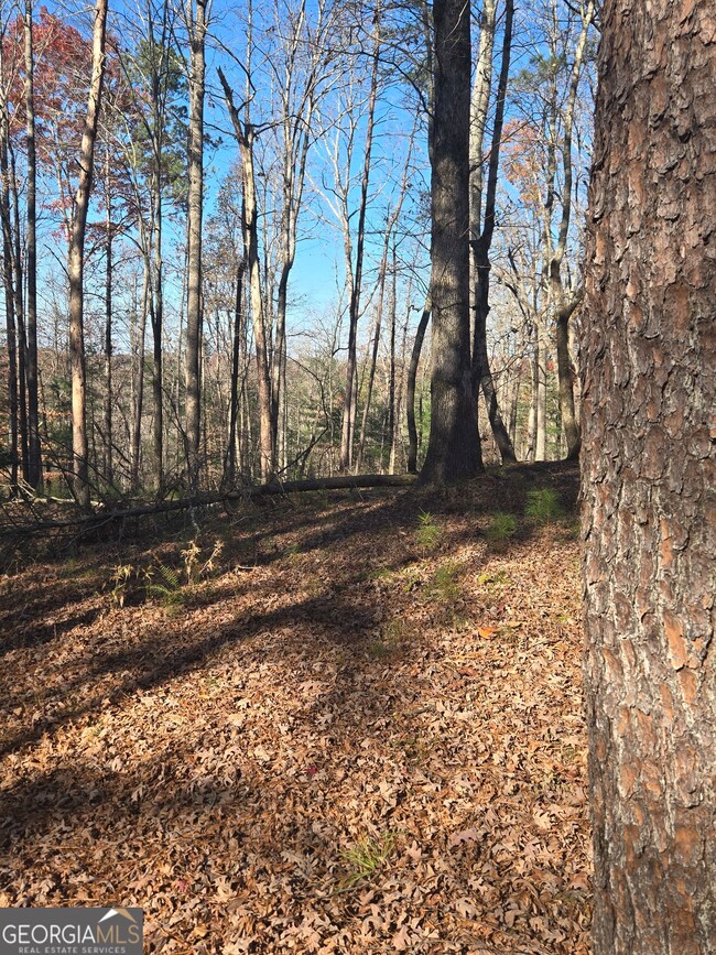 16 Country Rd, Ellijay, GA 30175 - photo 4