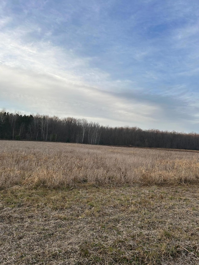 Lot 1 Pierce County Road B, Woodville, WI 54028 - photo 6