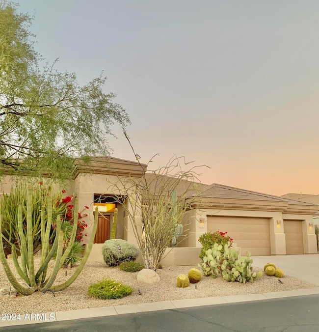 front of home 1